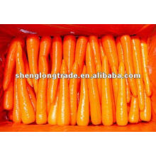 Свежие Спецификация морковью 2012 